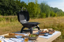 Napoleon TravelQ 240 Kompakt Gasgrill Schwarz- Modell 2023 -Outdoor Grill Verkauf Napoleon TravelQ TQ240 Kompaktgrill